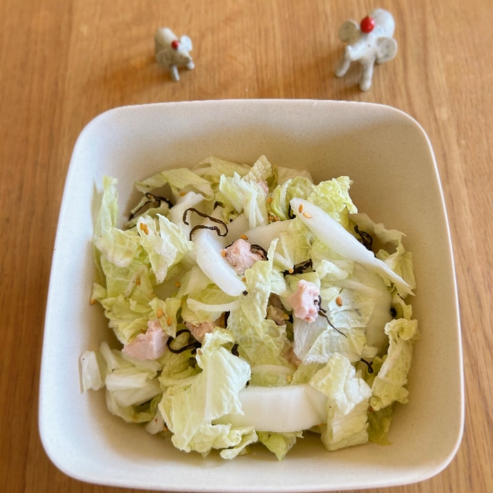 ふんわり♡チーズの香りの白菜サラダ♪